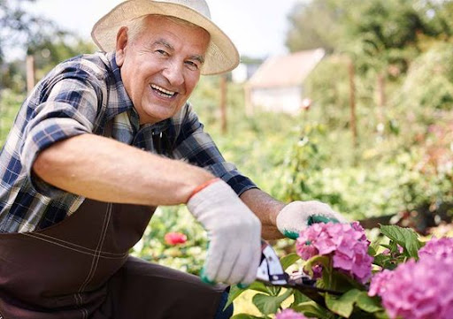 Homme âgée souriant s'attelant au jardinage